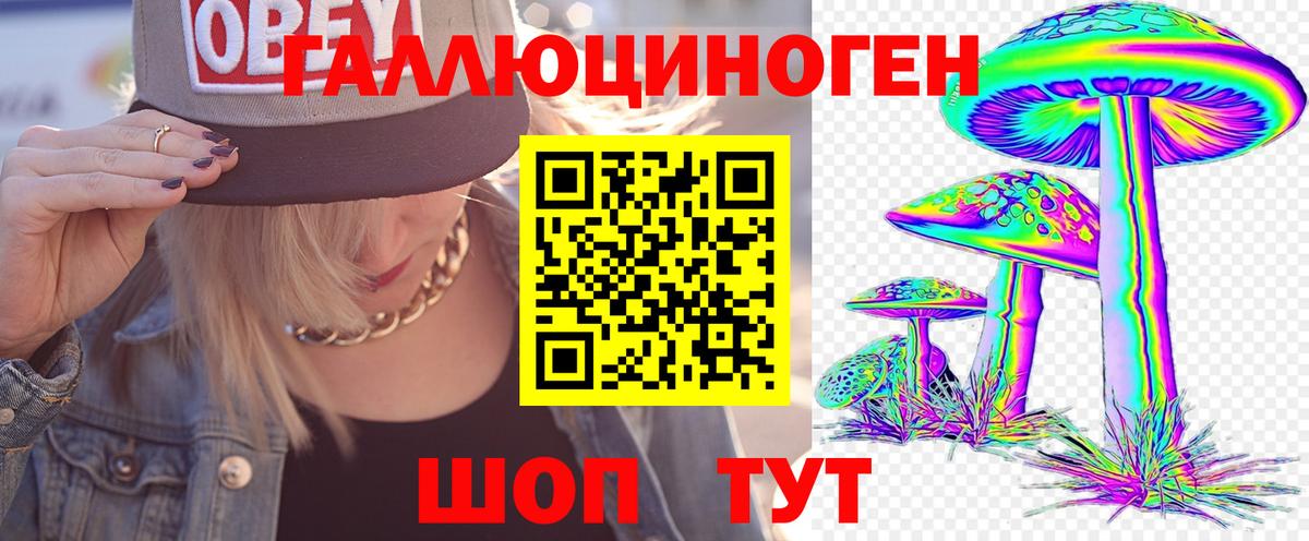 Галлюциногенные грибы прущие грибы  Вход с VPN  Нижний Новгород 